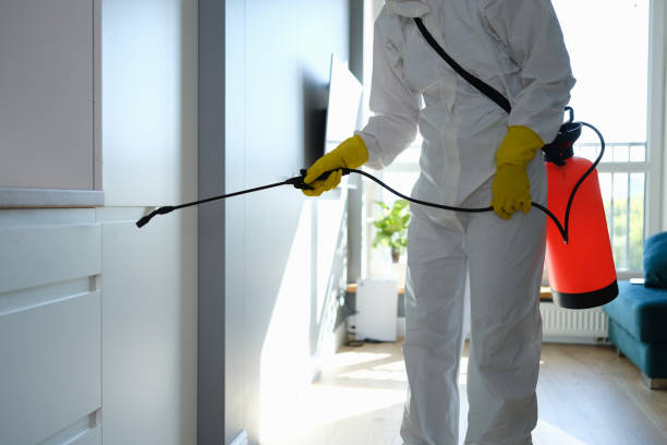 Best Industrial Mold Remediation in Mentor, OH